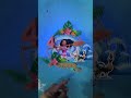 Cake Topper Moana #disney #moana #caketoppers #caketopper