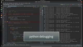 Week 13 Debugging