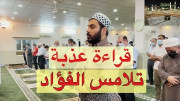 نور الدين سليم سورة الفجر والبلد