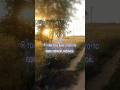Кстати-кстати… #video #атмосфера #меме #like #youtube #лес #любимой