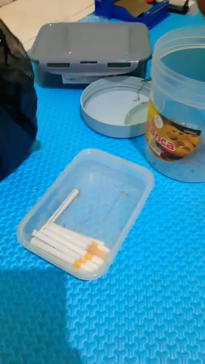 cara meracik tembakau rasa samsu Part 1 #tembakau #tutorial #rokok