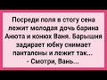 Дочь Барина и Конюх Лежат в Стогу Сена! Сборник Свежих Смешных Жизненных Анекдотов!