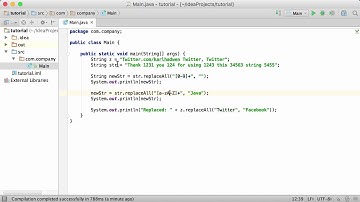 48.Java Tutorial - #48 - replaceAll() Method