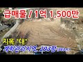 [여주토지] 여주 가남읍의 저렴한 급매물토지. 계획관리지역의 지목이 &quot;대&quot;이며 주말농장용으로 최고. 마을수도, 정화조 직관연결된 토지