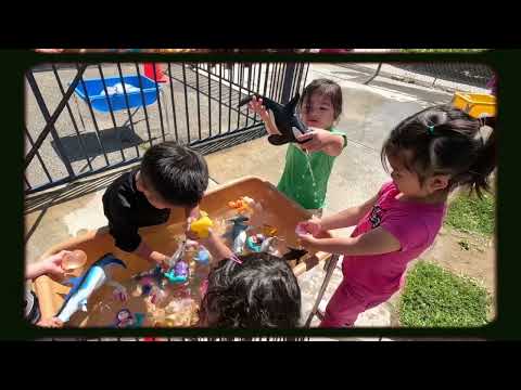 Landmark Preschool Summer Session 1 // Water Play #waterplay 2023