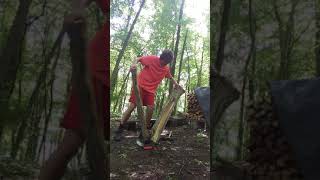 Black Locust harvesting and splitting.