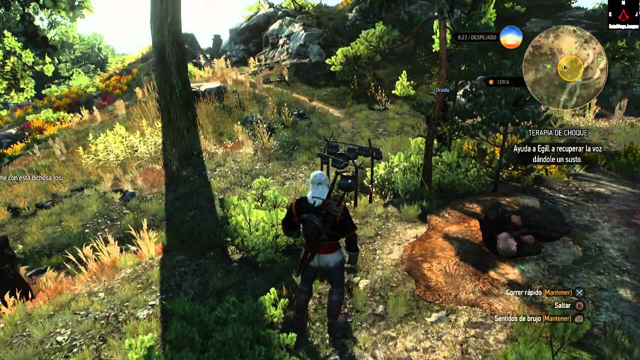 Terapia De Choque The Witcher 3
