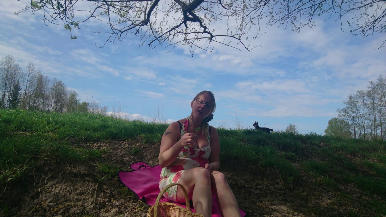 Dags att plocka Kirskål