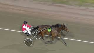 Vidéo de la course PMU PRIX STOLOPP