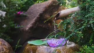 RELAXING GENTLE WATER