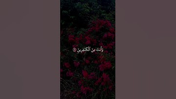 قال ألم نربك فينا وليدا ولبثت فينا من عمرك سنين   سورة الشعراء الآية 18 ،ياسر الدوسري #قرآن #quran