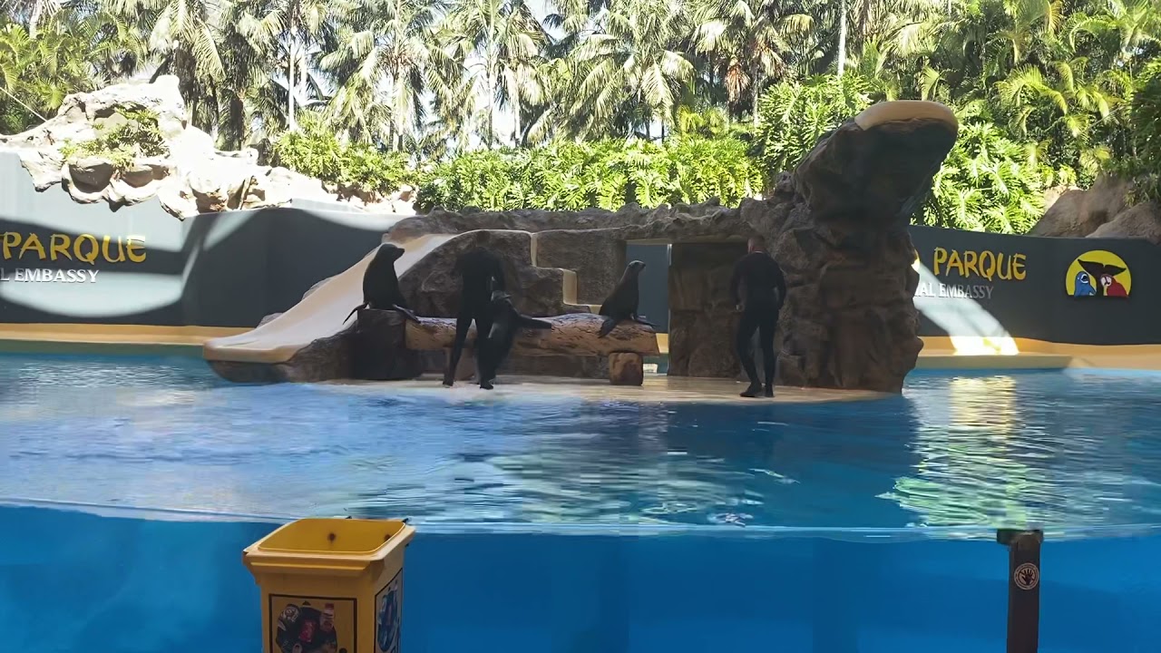 Loro Parque