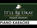 Shawn Mendes - It'll Be Okay - LOWER Key (Piano Karaoke Instrumental)