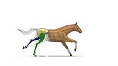 Dog Run Cycle Hd 3d Animation 牛山雅博 Youtube