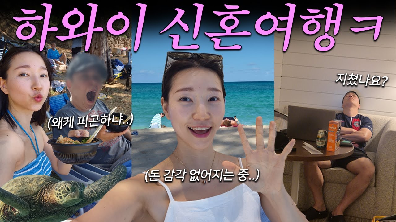 신혼여행에는 돈좀 써도 되겠죠..? (7박8일 하와이 와이키키 여행 l 신혼여행 브이로그 l 오하우 일정,코스,맛집,투어)