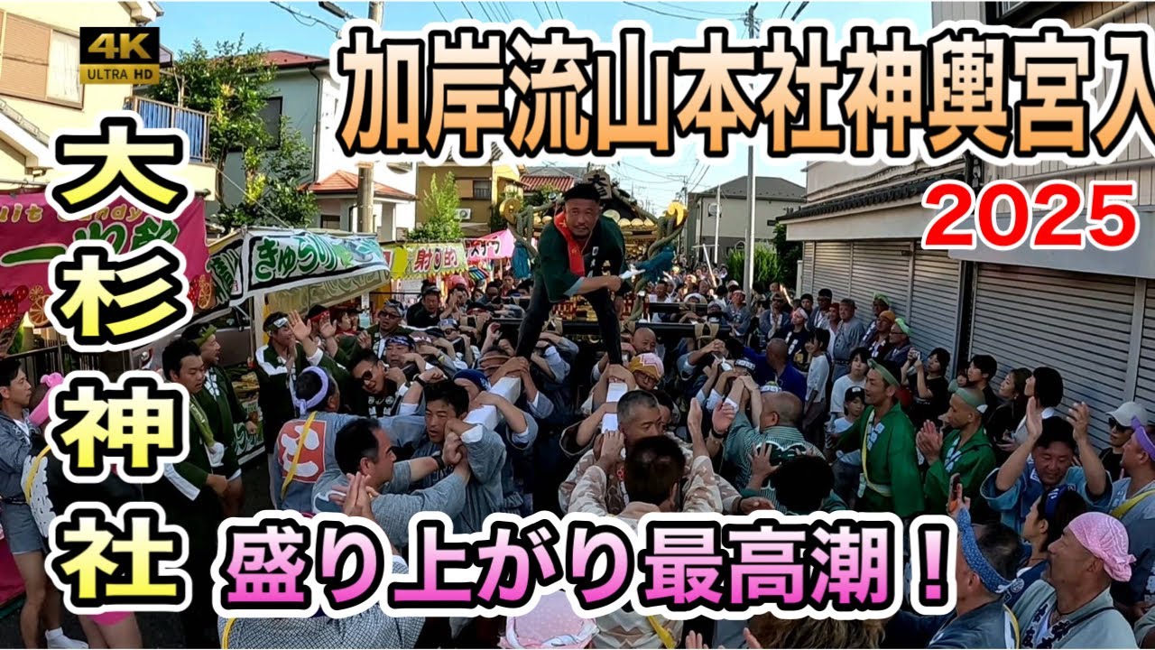 【流山加岸 大杉神社例大祭2025】本社神輿 宮入！感動のフィナーレ！盛り上がり最高潮！