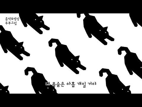 알 수 없는 고양이