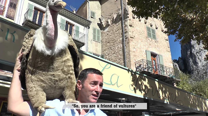 The Reintroduction Of The Griffon Vulture [2015]