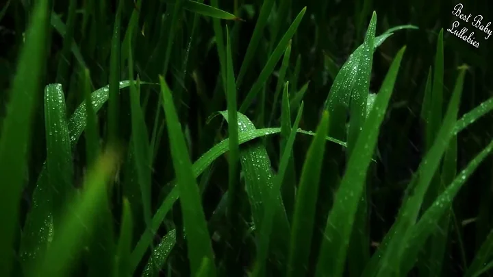 8 HOURS Rain Sounds For Sleep Lullabies Songs for ...