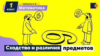 картинка: Математика. Сходство и различия предметов.