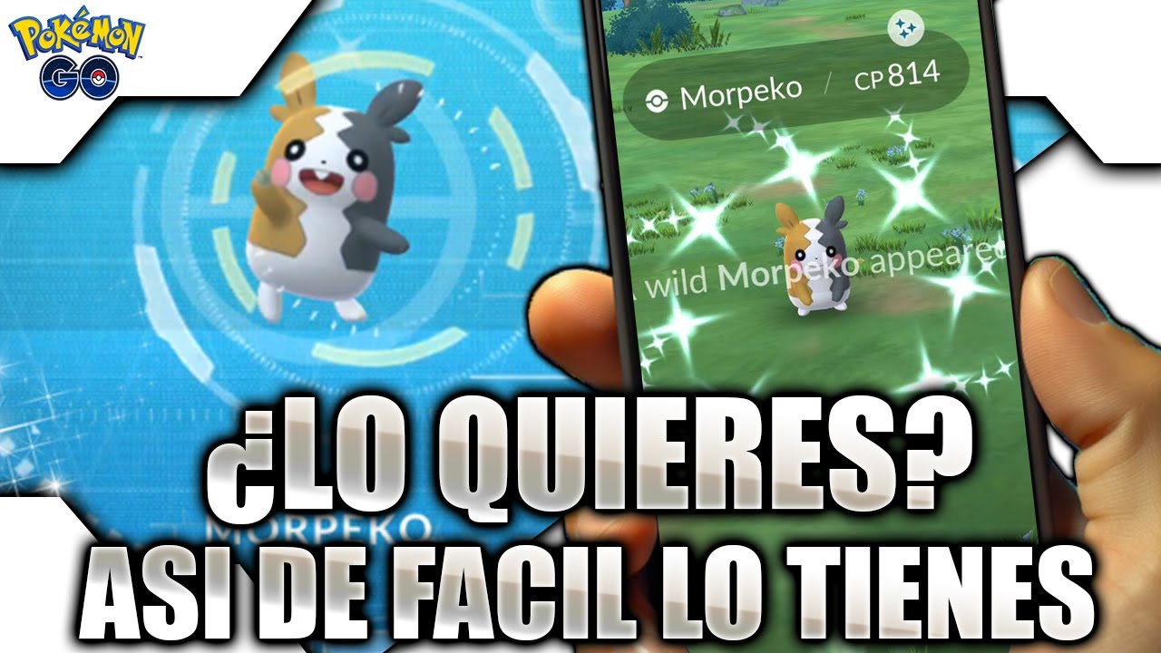 ¡TRUCO EXCLUSIVO! Como conseguir a MORPEKO SHINY GARANTIZADO en Pokemon GO
