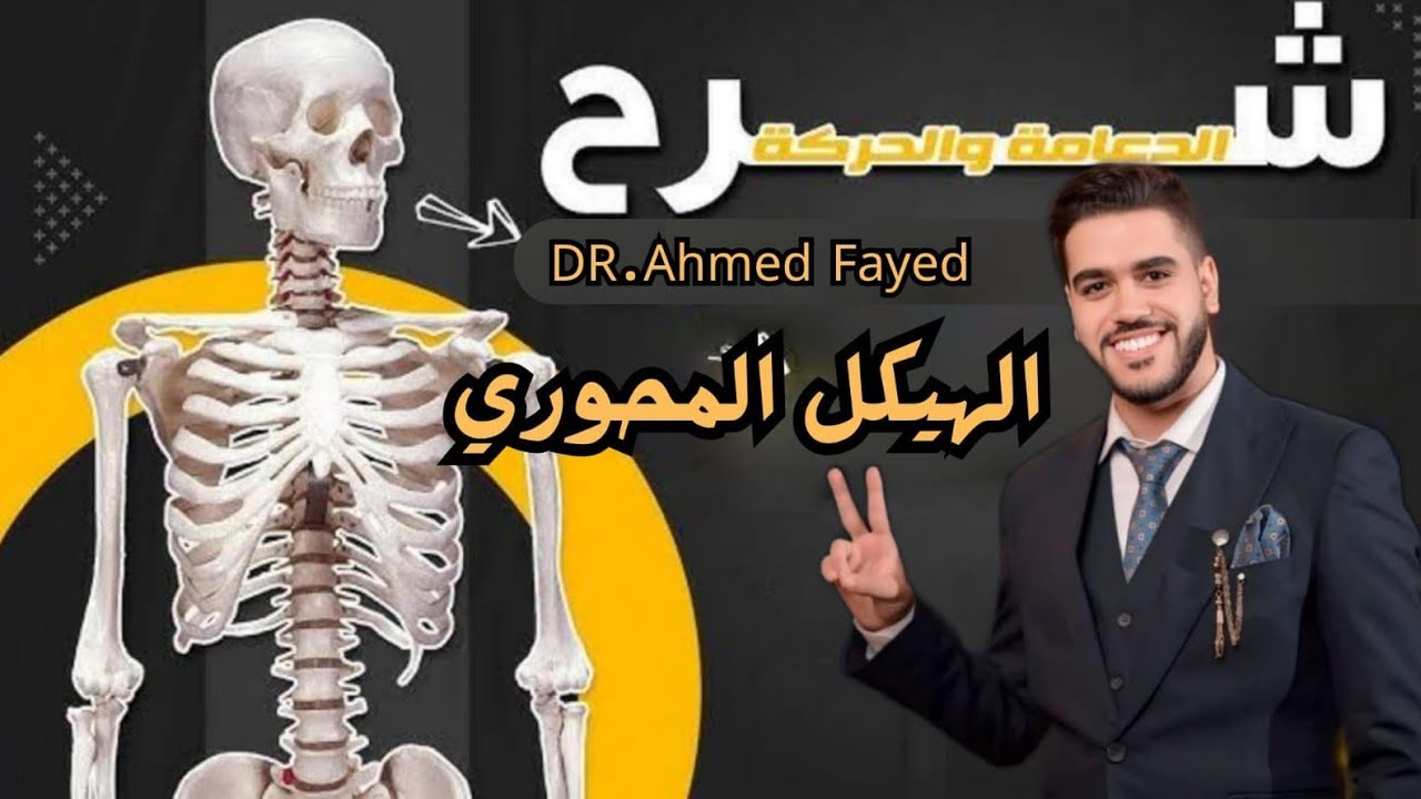 شرح الدعامه في الإنسان 2025🫡 الهيكل العظمي  ☠️💀الجمجمه و العمود فقري و القفص صدري