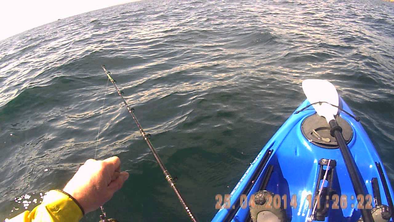 Kayak fishing for pollock in Cornwall YouTube