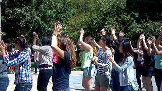 UIUC Gangnam Style Flashmob 01