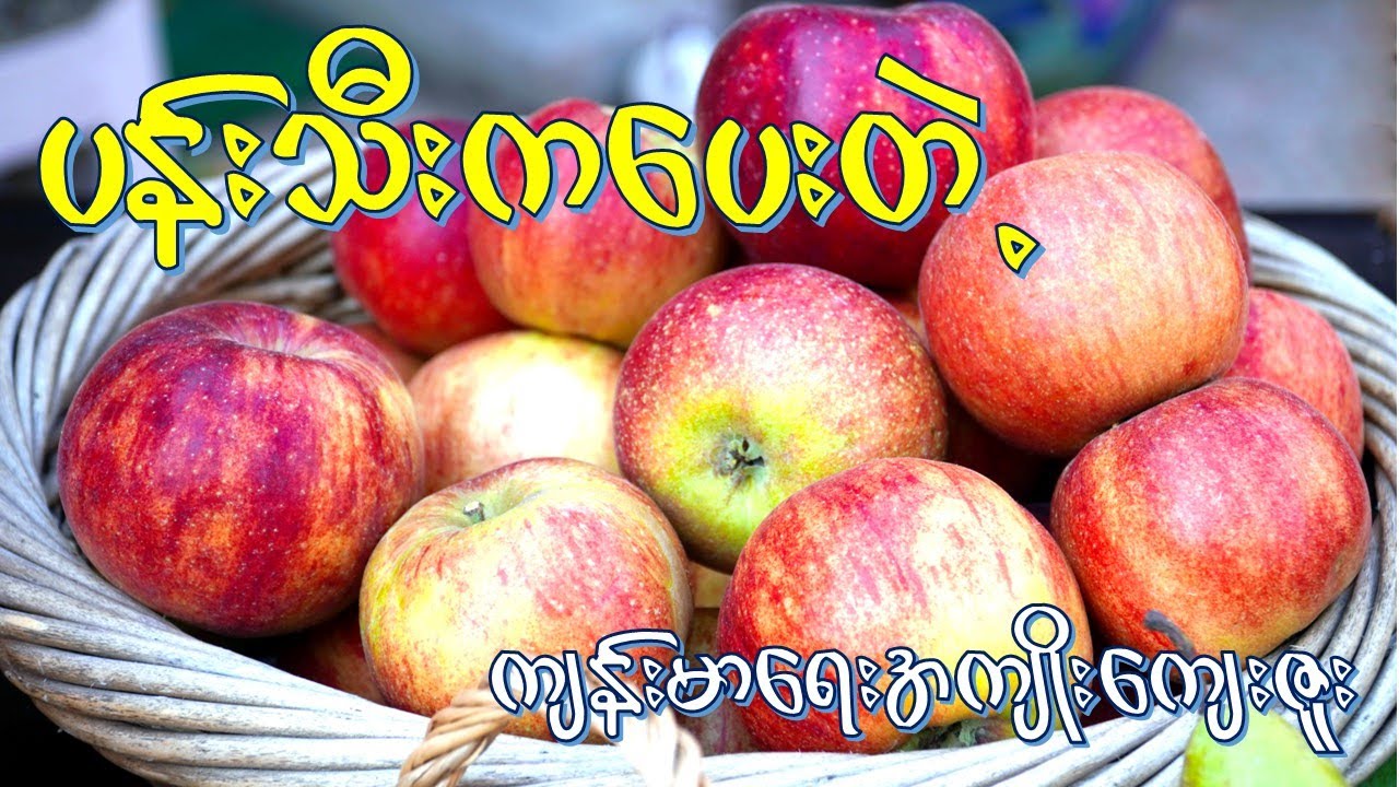 ပန်းသီး ရဲ့အကျိုးအာနိသင် (၁၇) မျိုး  I  Health Benefits of Apple