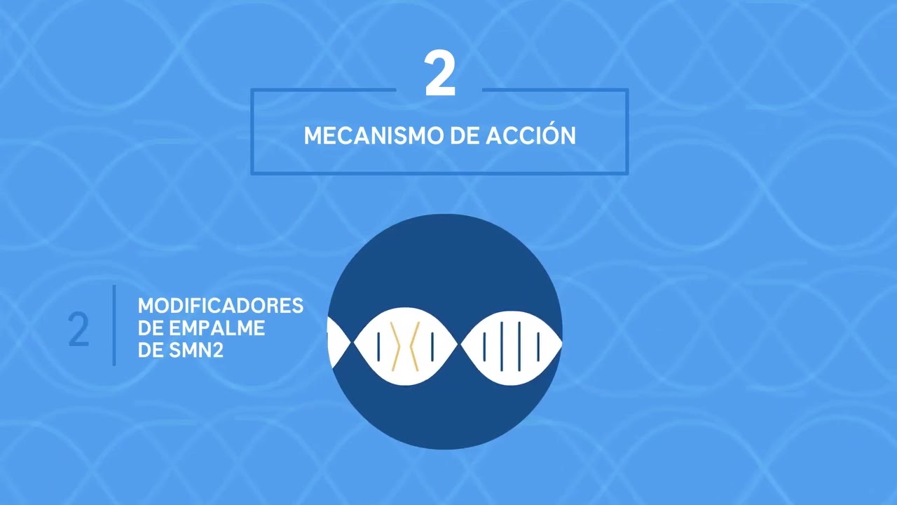 ¿Qué es la atrofia muscular espinal (AME)?