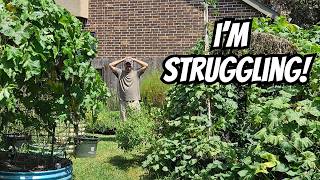🌱 When Life Just Feels Heavy | Sunday Conversation