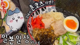 집에서 일본라멘?! 🍜 초딩 도시락, 강아지 화식 만드는 도쿄맘의 일상 😛 | 코코이찌방야 카레 먹방 🍛