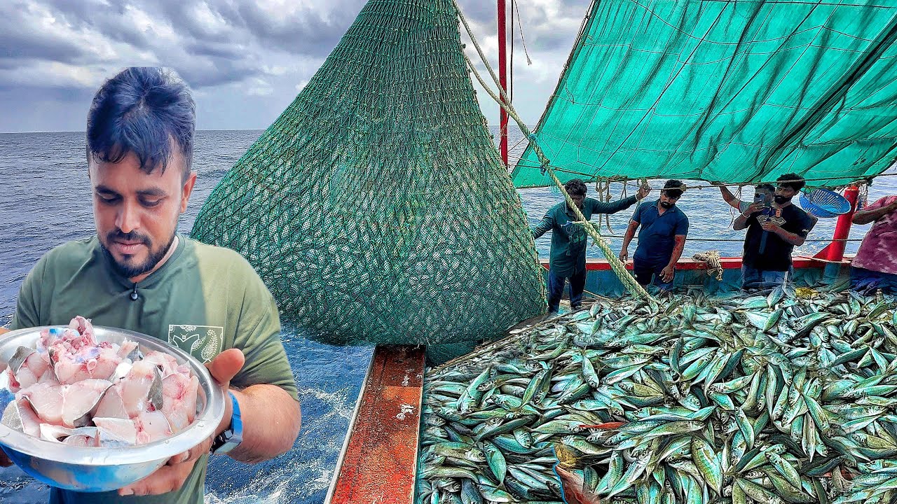 🦑🔥 Incredible Fishing Haul & Delicious Seafood Cook!!Trawel Net Fishing!!!