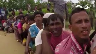 СТОП-геноцид! Мьянму обязали оставить рохинья в покое