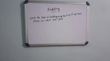 Reaping gold from soil