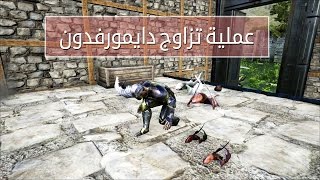 [ ح 35 ] أرك سرفايفل افولفد عملية تزاوج دايمورفدون | ARK: Survival Evolved #35