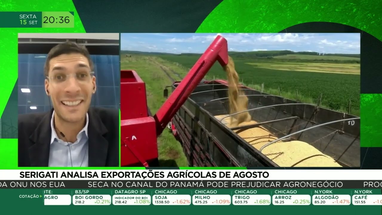 Serigati analisa exportações agrícolas de agosto