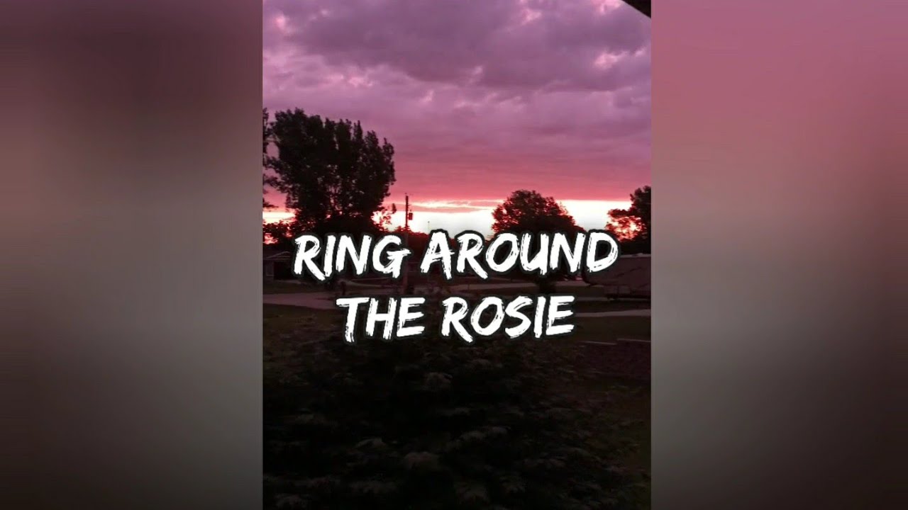 Kim DraculaRING AROUND THE ROSIE Pocket Full Of Posies by KIM DRACULA