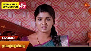 Next Week in Vanathai Pola | 17 June 2024  | Tamil Serial | Sun TV