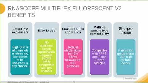 New Product Introduction: RNAscope® Multiplex Fluorescent v2 Assay