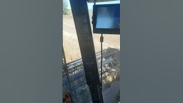 Soybeans rolling into the combine