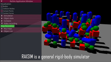 RAISIM, a physics engine for robotics and AI research