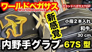 ワールドペガサス Grand pegasus TOP 内野手「67S 型
