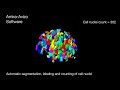 Automated cell nuclei count in 3D spheroid models with Amira Software