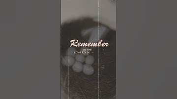 Java breeding progress I Java sparrow breeding progress Update I Bird Care & Info I #java