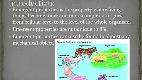 Emergent Properties