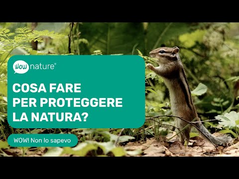 Video: Proteggere la natura significa preservare la vita