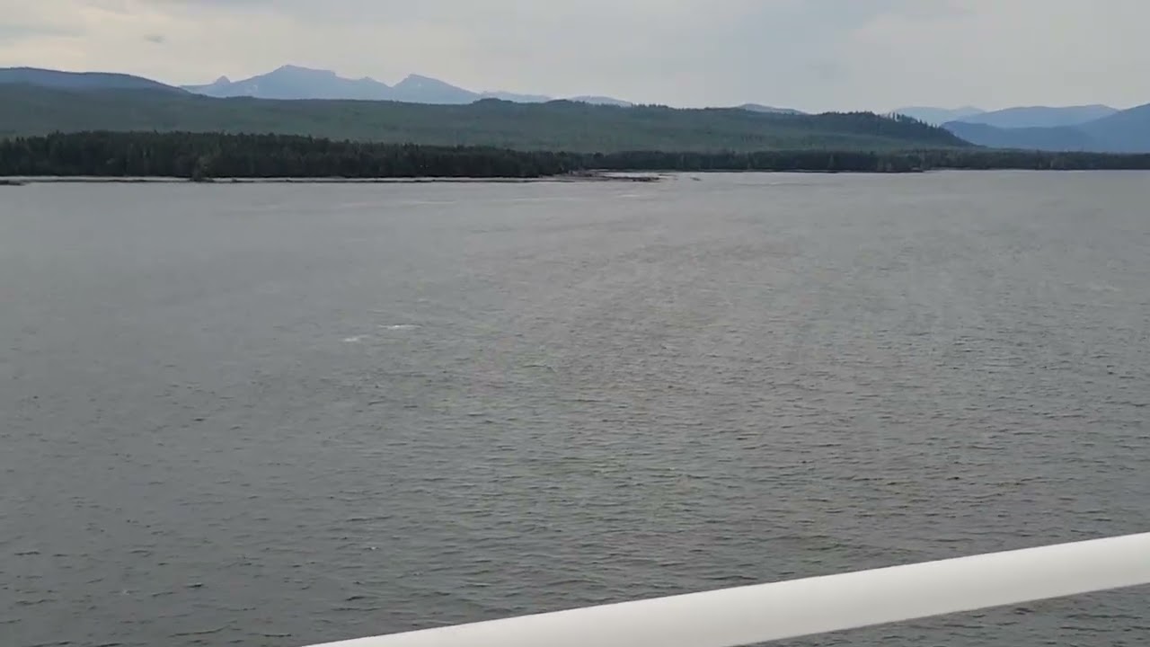 Whale off the Sapphire Princess Alaska 2025