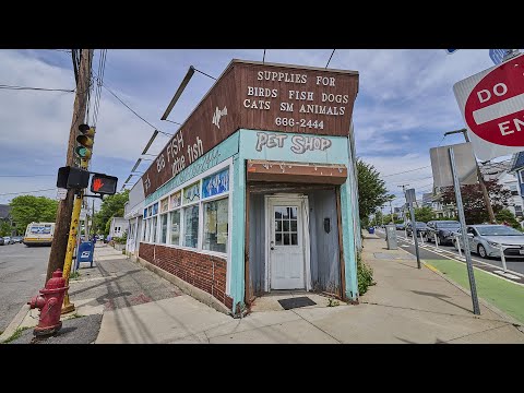 55 Elm Street, Somerville, MA home video tour