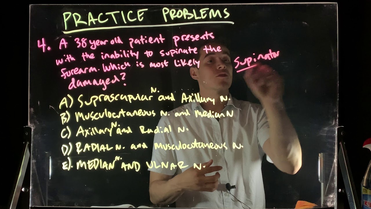 Quiz 2 Practice 4- Supination of Forearm | Upper Limb Anatomy | CHA 101 | UC Davis | Eric The Tutor